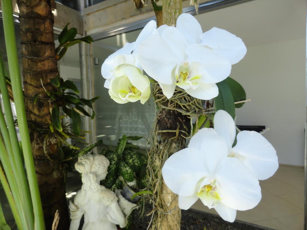 Pousada Orquideas Guaruja Luaran gambar